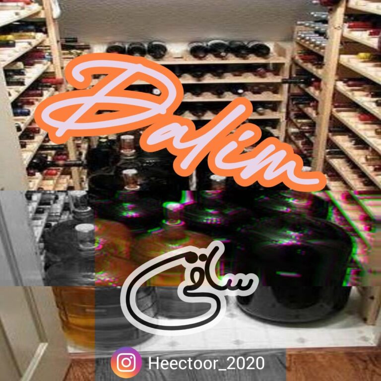 دانلود آهنگ دالیم ساقی
